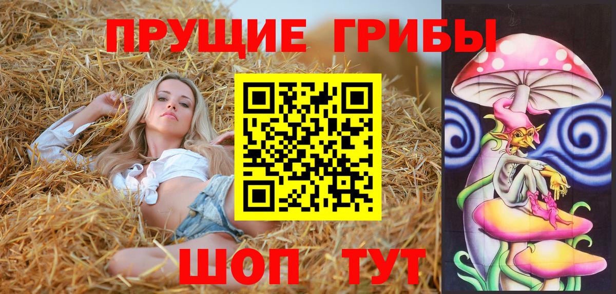 Псилоцибиновые грибы прущие грибы Крымск