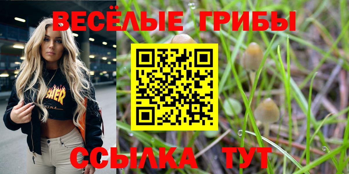 Псилоцибиновые грибы Psilocybe  Вход с VPN  Крымск 
